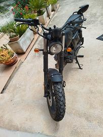 Moto Archive Scrambler 50