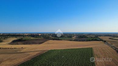 TER. AGRICOLO A MONTALTO DI CASTRO