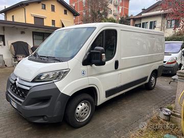 CITROEN Altro modello - 2017