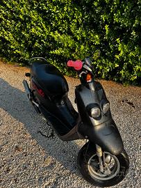 Peugeot squab 50