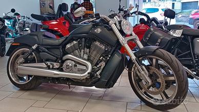 HARLEY DAVIDSON - VRSCF V-Rod Muscle