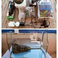 Acquario per Tartarughe 