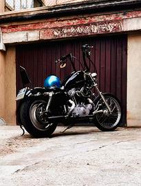 Harley-davidson sportster 883 custom
