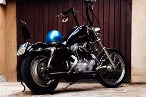 Harley-davidson sportster 883 custom