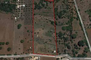 Terreno di 13800 m² a Alberobello