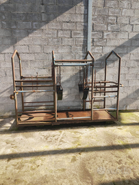 Tagliaunghie animali