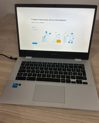 Asus Chromebook CK1400CK