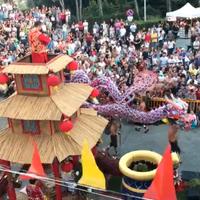 Drago cinese carnevale