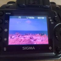 Fotocamera digitale SIGMA SD 14