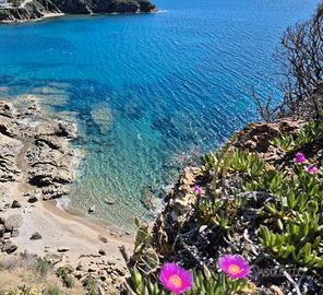 Appartamento a pochi passi dal mare mare