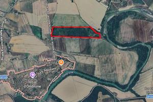 Terreno Agricolo - Grosseto