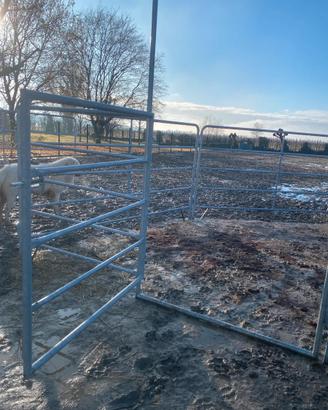 Recinzione per cavalli (fence)
