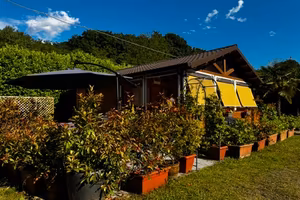Casetta legno