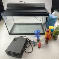 Acquario completo di filtro 