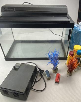 Acquario completo di filtro 