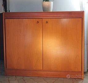 Mobile porta TV in legno con ante ripiano multiuso