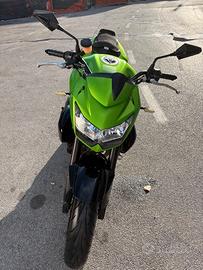 Kawasaki Z750 MY 2009 Verde/Nera