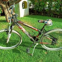 Bicicletta Frera bambino / ragazzo Raggio 24”