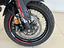 Immagine 16