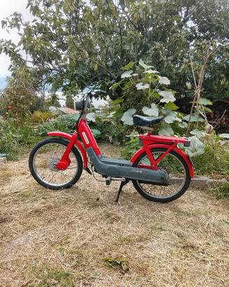 Ciao Piaggio