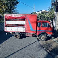 Camion trasporto animali vivi