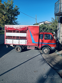 Camion trasporto animali vivi