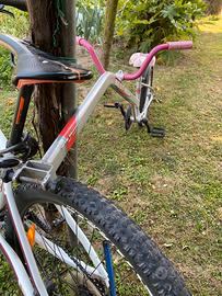 Rimochio bici