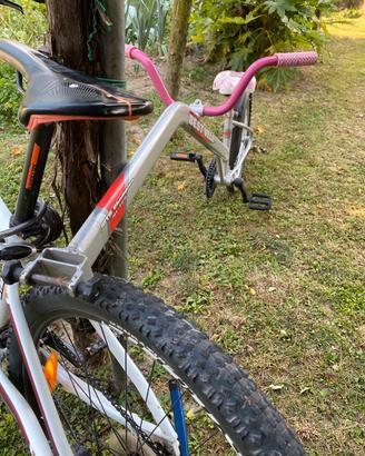 Rimochio bici