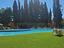 Immagine 5