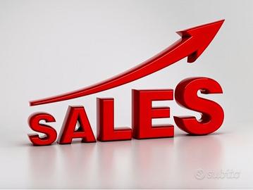 Commerciale sales senior