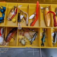 Esche varie da pesca