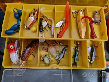 Esche varie da pesca