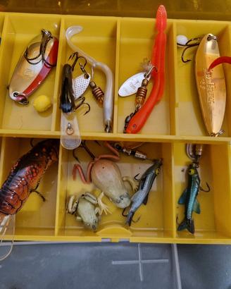 Esche varie da pesca