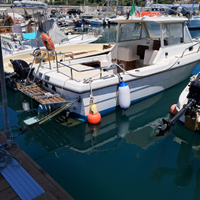 Barca Marlin diesel