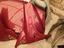 Immagine 13