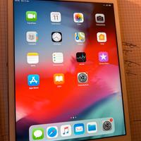 Ipad mini 2 display retina 7.9 pollici usato