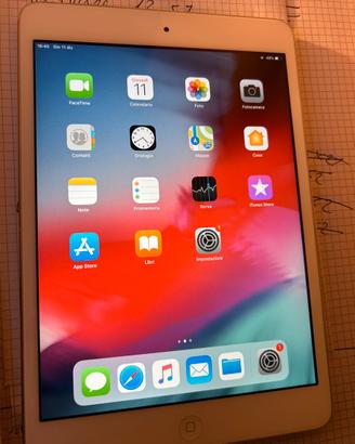 Ipad mini 2 display retina 7.9 pollici usato