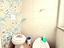 Immagine 15