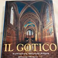🟥COLLEZIONE STORICA🟥IL GOTICO🟥COPERTINA RIGIDA