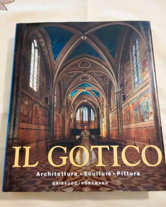 🟥😱PREZZO TOP👍IL GOTICO OPERA DA COLLEZIONE
