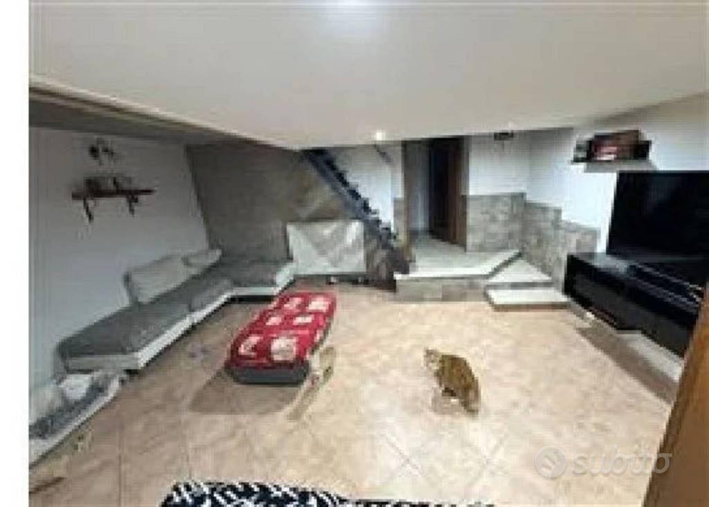 Appartamento – Larino, San Leonardo, Campobasso - Vista 4