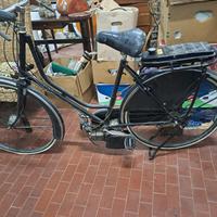 bici mosquito  titan