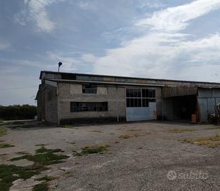 Magazzino