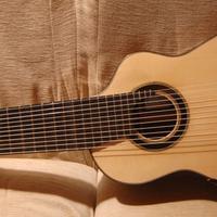 chitarra contralto 11 corde di liuteria