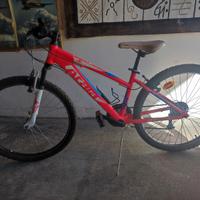 MTB Atala