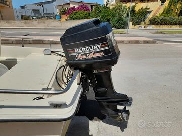 Barca a motore con carello