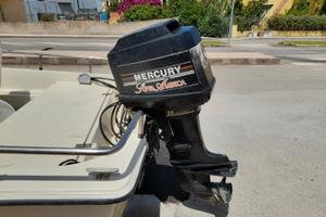 Barca a motore con carello