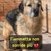 Fiammetta 3 anni