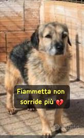 Fiammetta 3 anni