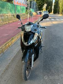 SH 300 TRATTABILE